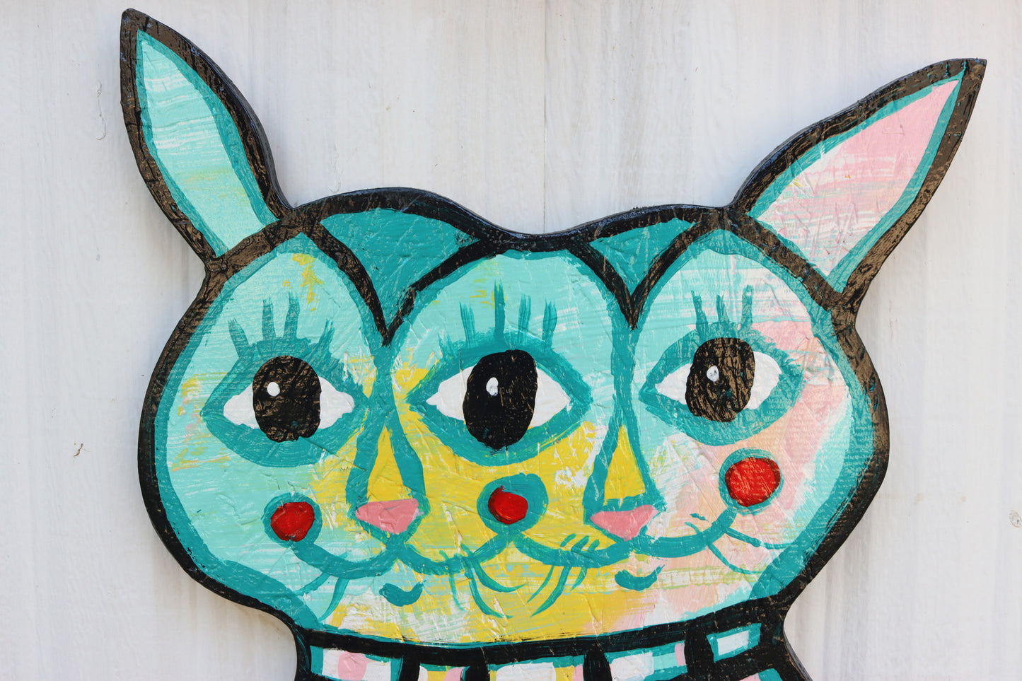 3 Eyed Cat